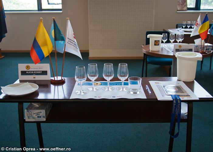 005-wine-contest-Cristian-Oprea.jpg