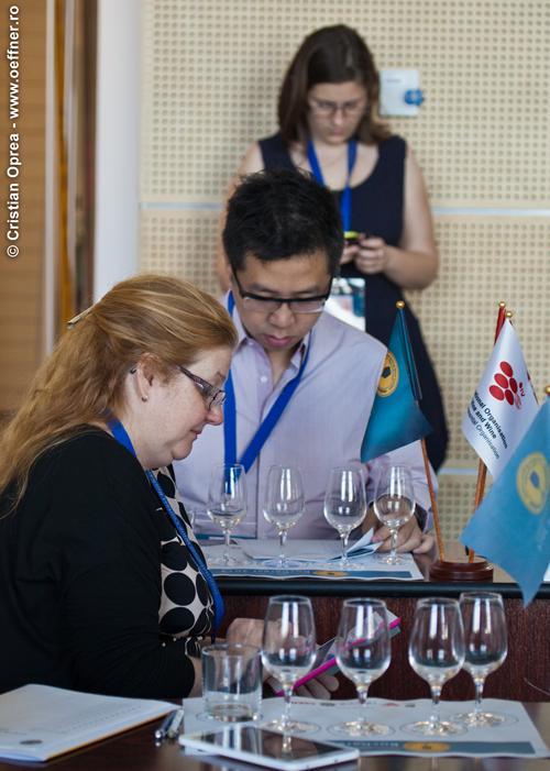 015-wine-contest-Cristian-Oprea.jpg