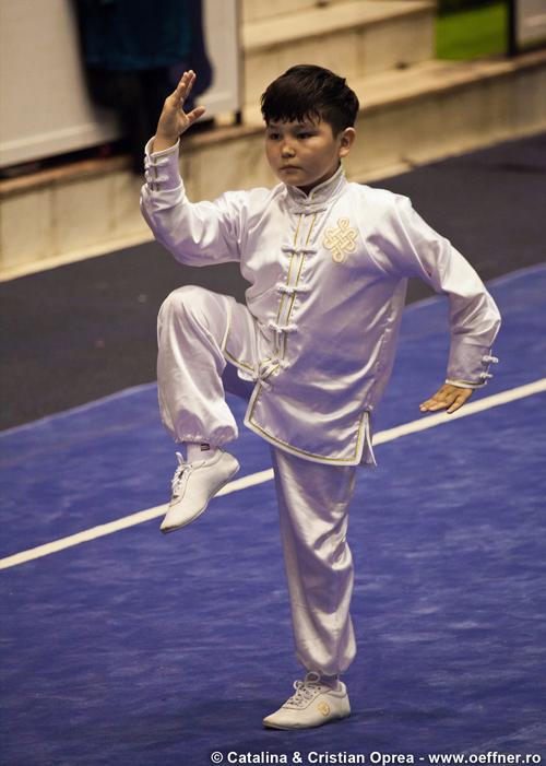 166-Wushu-Taolu-oeffner.jpg